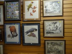 Two framed ornithological prints together with three equestrian prints & reproduction framed