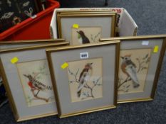 A set of seven framed ornithological studies combining feather work & watercolour
