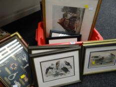 Box of various coloured etchings including wild birds, framed maritime knots etc