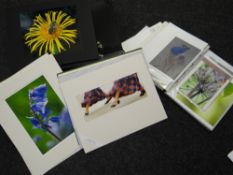 A collection of photo art prints & photographs by local Barry photographer