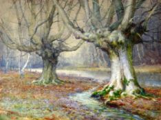 PARKER HAGARTY watercolour - woodland scene, signed, 30 x 39cms