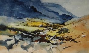 DAVID MORRIS watercolour - valley scene with farm and river, possibly Derbyshire, 20 x 34cms
