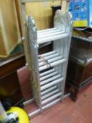 Eckman multi-way ladder