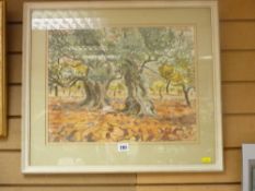 JANE GLASFORD watercolour - titled 'Olive Trees, Ibiza' with price seven guineas