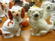 Pair of Staffs brown and white dogs and another pair of Staffs dogs