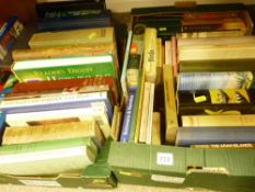 Two boxes of mixed books