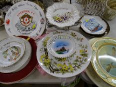 Collection of decorative wall plates including a 1974 Liverpool FC FA Cup Winners commemorative