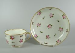 A SWANSEA PORCELAIN TEA CUP & SAUCER decorated with multiple single roses within dentil gilt rims