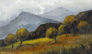 WILF ROBERTS oil on linen - North Wales mountainous landscape entitled verso 'Autumn Snowdonia' on