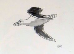 SIR KYFFIN WILLIAMS RA watercolour - study of seagull in flight, signed with initials, 16 x 22cms