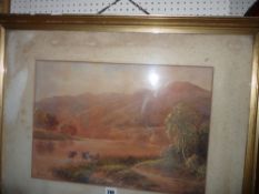 G ALEXANDER watercolour - cattle at lakeside, 35 x 50 cms