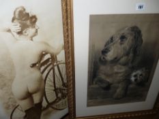 A M STROUD? mixed media - dogs at rest, 33 x 46 cms and a similar sized print - semi-nude lady on
