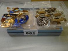 An interesting parcel of regimental & other badges & bijouterie