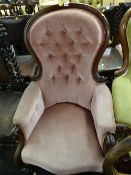 A walnut spoon backed armchair with pink button backed upholstery