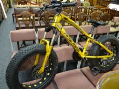 A PedalEase Big Cat sand bike pedal cycle (as new)