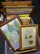 Box of various framed prints & pictures