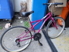 A Zodiac Apollo pedal cycle (outside)