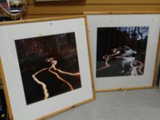 Two large framed cyber chrome photographs by MICHAEL WATTS