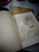 A collection of botanical prints from the voyage of HMS challenger together with a copy of