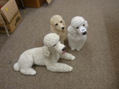 Three decorative models of poodles