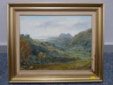 GWYNETH TOMOS oil on canvas - Porthmadog from possibly vicinity of Beddgelert, 34 x 45 cms