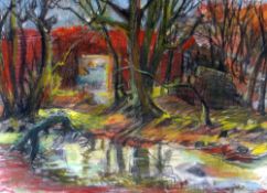 RAY HOWARD JONES mixed media - overgrown garden with debris, probably outside Rath Cottage in