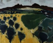 DONALD McINTYRE oil - expansive landscape with distant cottage entitled on Christie's Auction