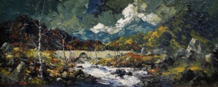 CHARLES WYATT WARREN oil on board - Snowdonia river scene with bridge, signed, 37 x 90cms