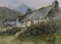DAVID COX watercolour - Snowdonia upland cottage with a peak of Cader Idris beyond, signed, 25 x
