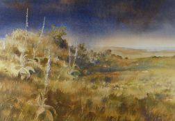DAVID TRESS watercolour - landscape with distant sea and mist, signed and dated 1985, 51 x 72cms