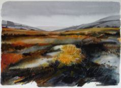 JOHN CLEAL watercolour - expansive landscape with grass land in a valley basin, signed, 58 x 77cms