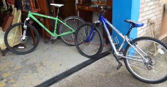 An Apollo mountain bike together with a Monster mountain bike