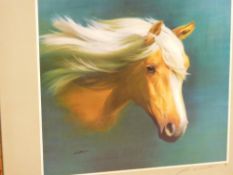 WOOTTON signed print - titled 'Amber Flame', 30 x 30 cms