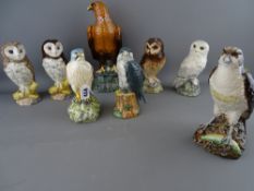 Royal Doulton ceramics - collection of eight Whyte & Mackay Scotch whisky birds of prey