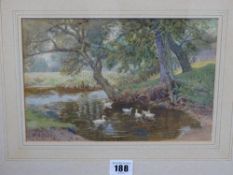 W NEVILLE DENBY watercolour - study of ducks on the river, 17 x 24 cms