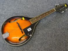 Stagg model M-20 handmade mandolin