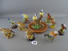 Nine Continental matt finish bird ornaments and a pair of two matt finish blue tits on a tree stump