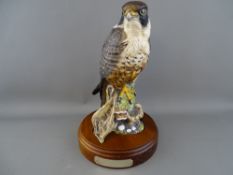 Royal Doulton limited edition (1020/2500) matt finish peregrine falcon HN3541, modelled by Tongue,