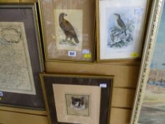 W H mixed media - portrait of a cat titled 'Meditation', dated 1931, 20 x 14 cms and two others -