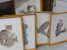 A parcel of framed animal & bird study prints Condition Report: please request via email.