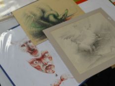 A portfolio of various RICHARD O'CONNELL Welsh themed drawings & work including women's rugby