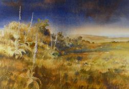 DAVID TRESS watercolour - landscape with distant sea and mist, signed and dated 1985, 51 x 72cms