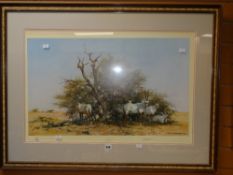 A signed & blind stamped DAVID SHEPHERD African wildlife print entitled 'Arabian Oryx' Condition