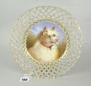 A DERBY PORCELAIN CABINET PLATE PAINTED WITH A SINGLE POMERANIAN DOG BY JAMES ROUSE SNR the border