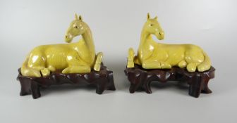 PAIR OF CHINESE YELLOW GLAZED RECUMBENT MODELS OF HORSES unglazed to base on hardwood stands, 14.