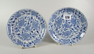 PAIR OF CHINESE PORCELAIN BLUE & WHITE CIRCULAR SHALLOW DISHES / PLATES overall decorated with