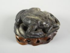 BELIEVED CHINESE CARVED BLACK & WHITE JADE STUDY OF A FROG ON LOTUS LEAF raised on hardwood base,