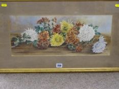 Unsigned watercolour study - still life chrysanthemums