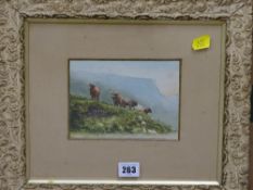 M CLIFF framed watercolour study of highland cattle, signed, dated 1904