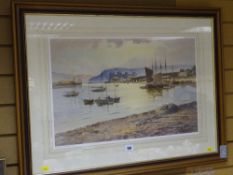 WARREN WILLIAMS ARCA limited edition (74/850) print - Conwy